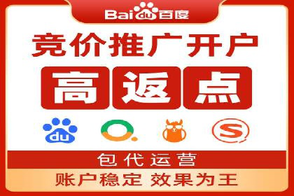 竞价广告赚钱案例：从新手到专家